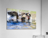 AC3Y8363 Edit Acrylic Print