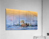 AC3Y6246 Edit 2 Acrylic Print