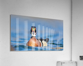AC3Y6063 Edit 2 Acrylic Print