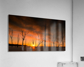 20140308  KM 0145 Acrylic Print