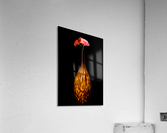 Fire - 2 Acrylic Print