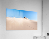 20140308  P2L1104 Acrylic Print