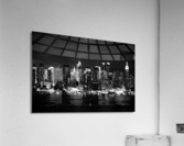 DP2L5177 Acrylic Print