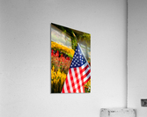 DP2L0280 Acrylic Print