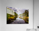 DP2L5377 Edit Acrylic Print