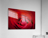  P2L6106 Acrylic Print