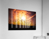 DP2L1752 Edit Acrylic Print