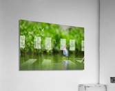 DSC06074 ER 2 Acrylic Print