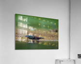 DSC06975 Edit 5 Acrylic Print