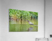 DSC05928 Edit 2 Acrylic Print