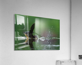 DSC09989 SR 7 Acrylic Print