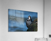 DSC07081 Edit Acrylic Print