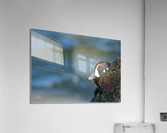 DSC06973 Edit Acrylic Print