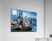DSC04665 Edit 2 Acrylic Print