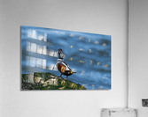DSC05099 Edit Acrylic Print