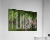 DSC04516 Edit Acrylic Print