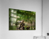 DSC04263 Edit Acrylic Print