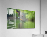 DSC00816 Edit Acrylic Print