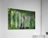 DSC06552 Edit 2 Acrylic Print