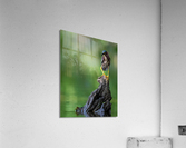 DSC06447 Edit 5 Acrylic Print