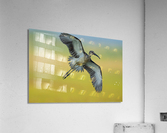 DSC01130 Edit Acrylic Print