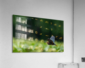 DSC06011 Edit 2 Acrylic Print