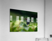 DSC05995 Edit Acrylic Print
