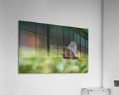 DSC06011 Edit 6 Acrylic Print
