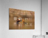 DSC08789 Edit Acrylic Print