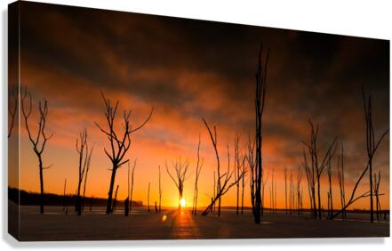 20140308  KM 0145 Canvas Print