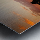 20130420  KM 0440 Metal print