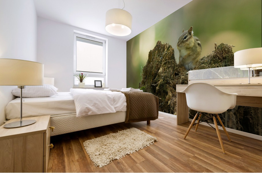A29I5872 Edit 2 Mural print