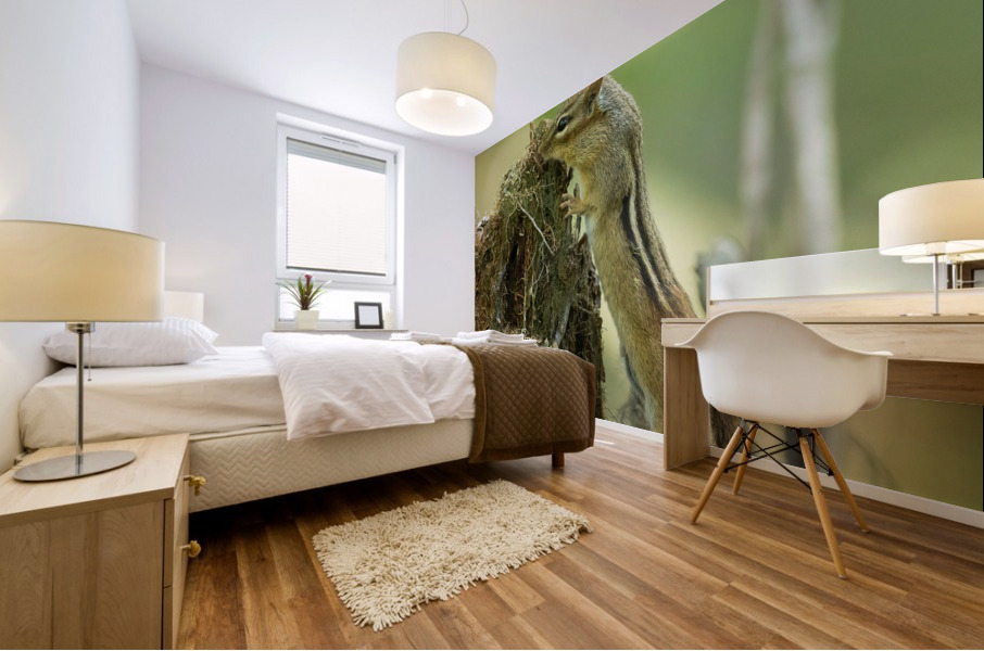A29I5834 Edit 4 Mural print