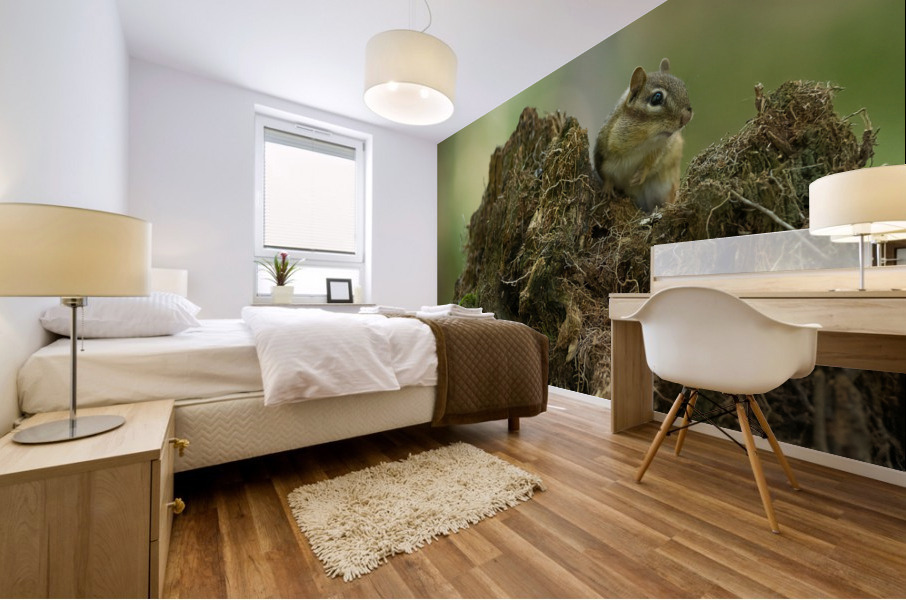 A29I5903 Edit 2 Mural print