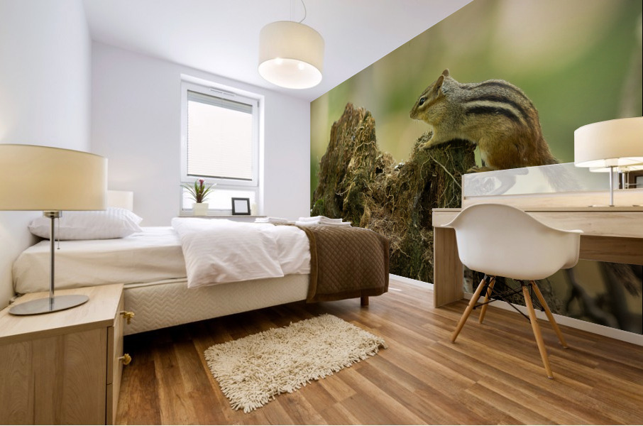 A29I5839 Edit 2 Mural print