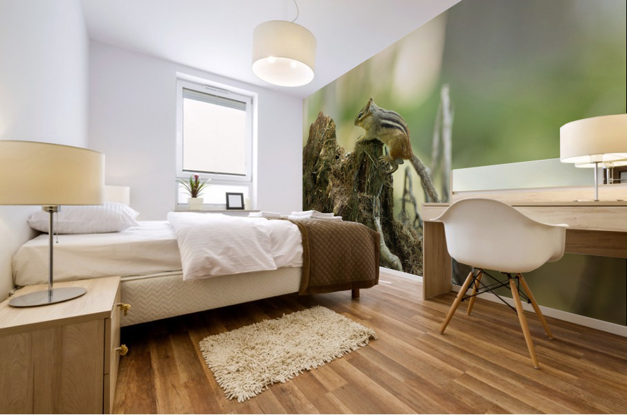 A29I5837 Edit Mural print