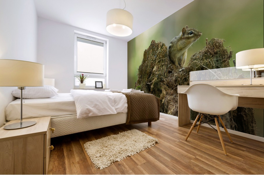 A29I5919 Edit 2 Mural print