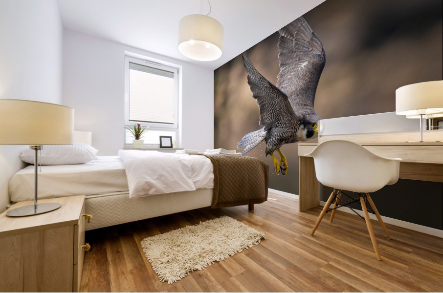 Falcon in Flight - 2 Mural print