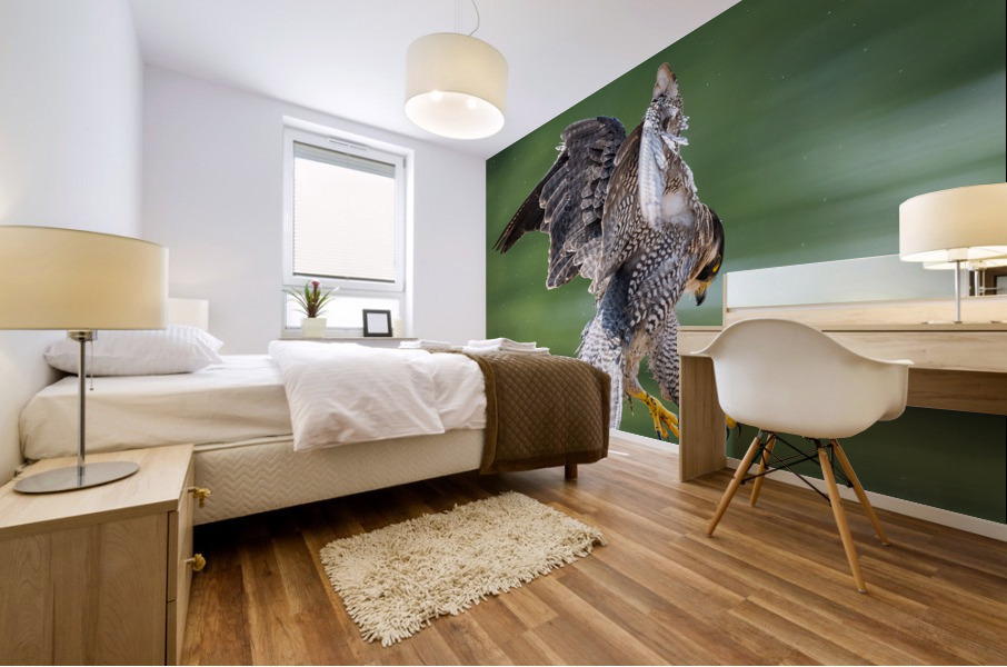 Playful Falcon - 2 Mural print
