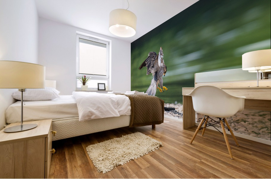 Playful Falcon Mural print