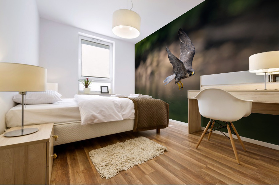 Falcon in Flight Mural print