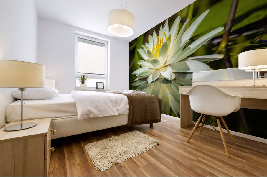 5F4A9754 Edit Mural print