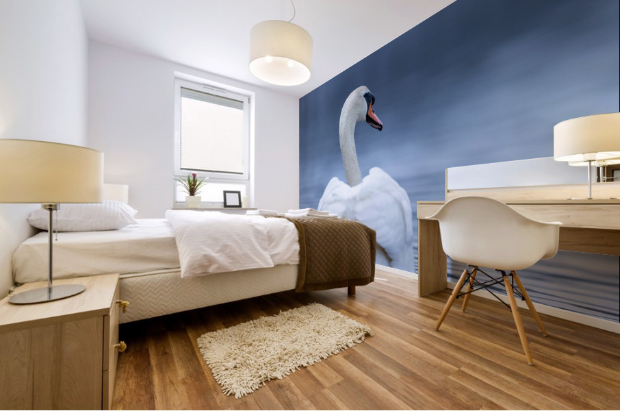 A29I4984 Edit 2 Mural print