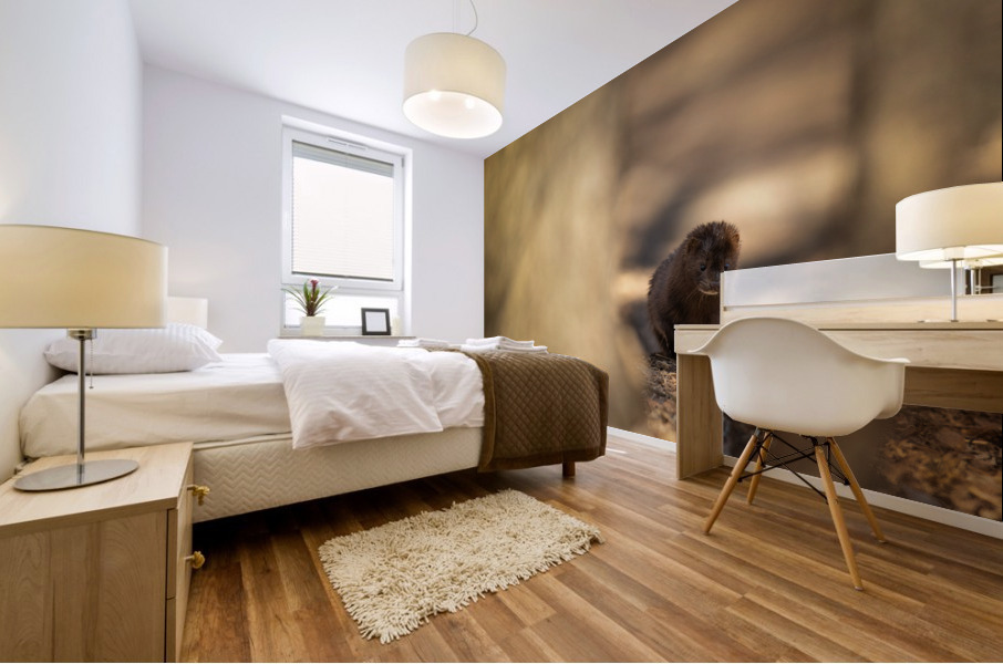 A29I4120 Edit Mural print