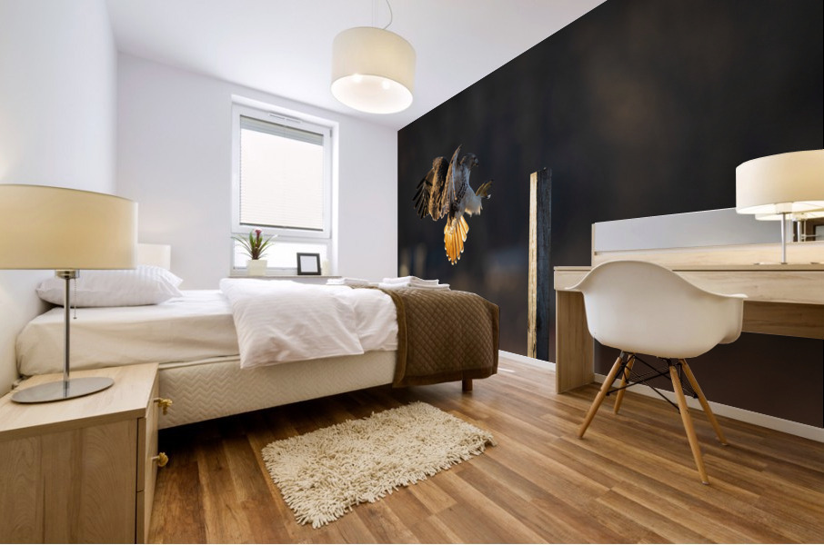 A66I6341 Edit 2 Mural print