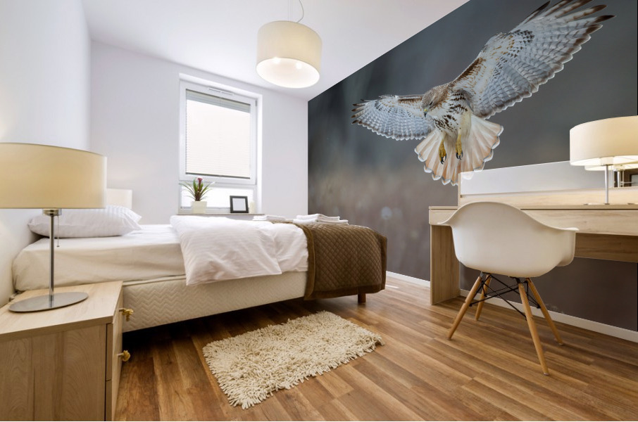 A66I1444 Edit 4 Mural print