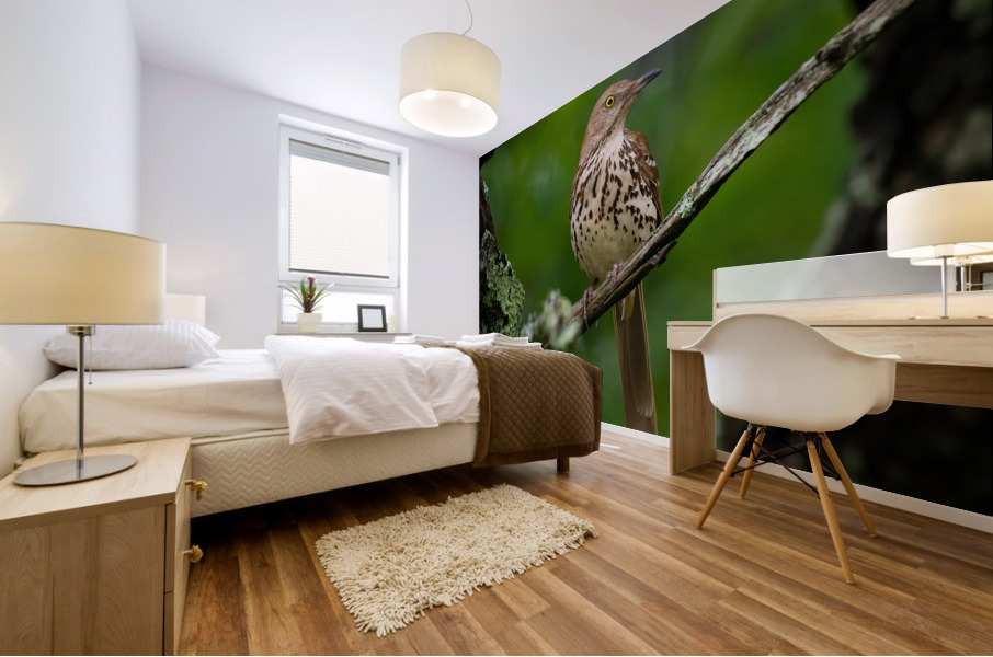 DSC0 Mural print
