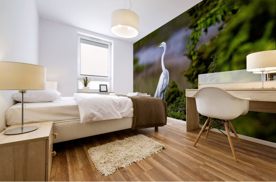 AC3Y6913 Edit Mural print