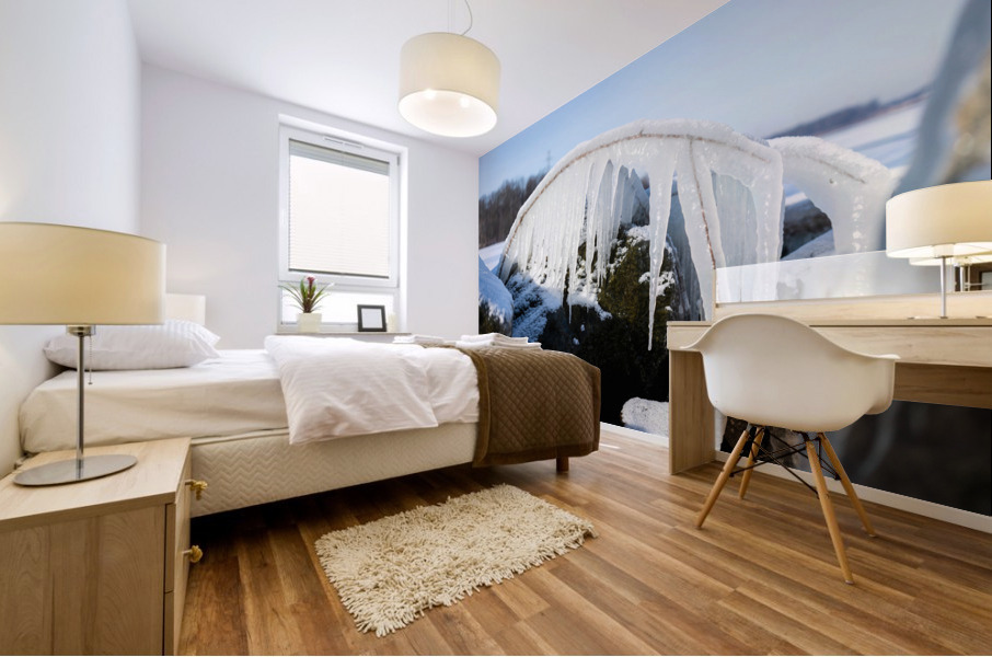 Frozen Mural print