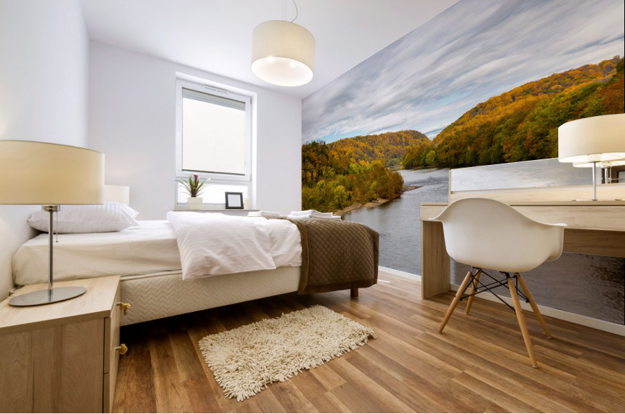 BM4A5926 Edit Mural print